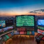 Why Reddybook Is Trending? Full Overview of the Reddybook Platform